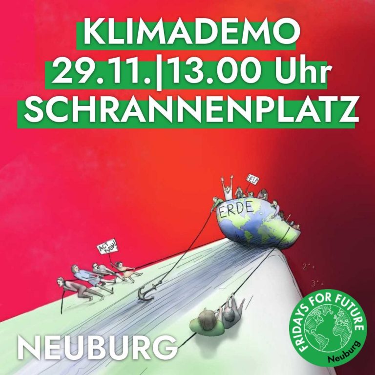 Klimademo in Neuburg